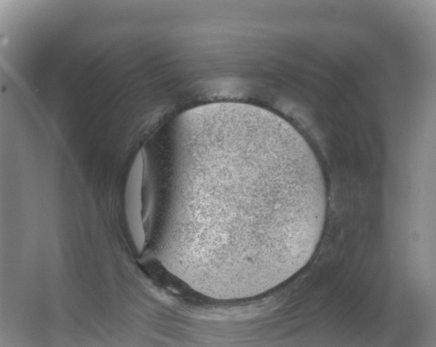 X0000066970017200604142152