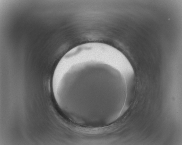 X0000066970019200604142152