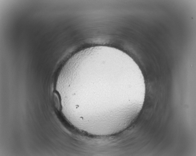 X0000066970020200604142152