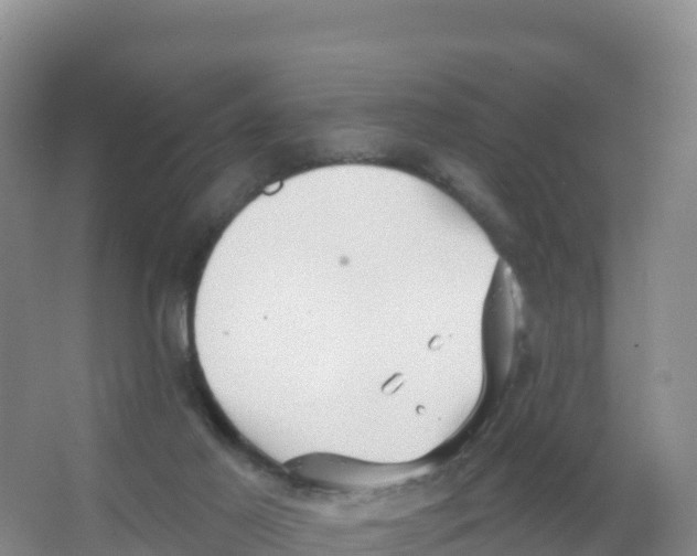 X0000066970021200604142152