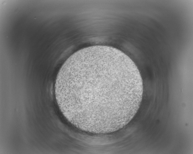 X0000066970024200604142152