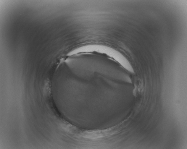 X0000066970029200604142152