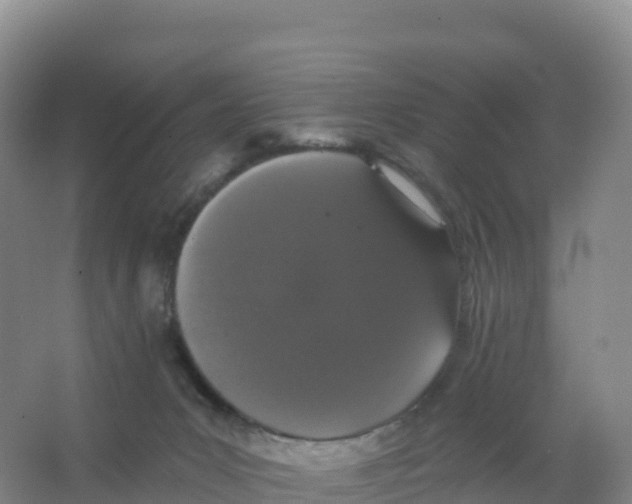 X0000066970031200604142152