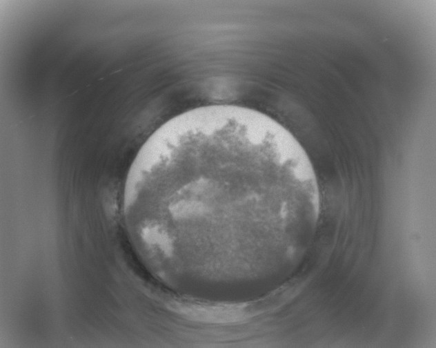 X0000066970032200604142152