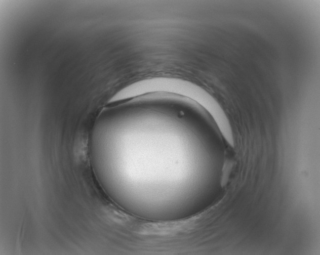 X0000066970033200604142152