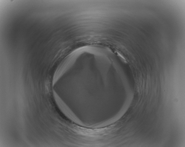 X0000066970035200604142152