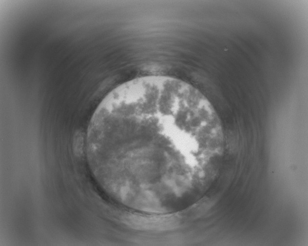 X0000066970036200604142152