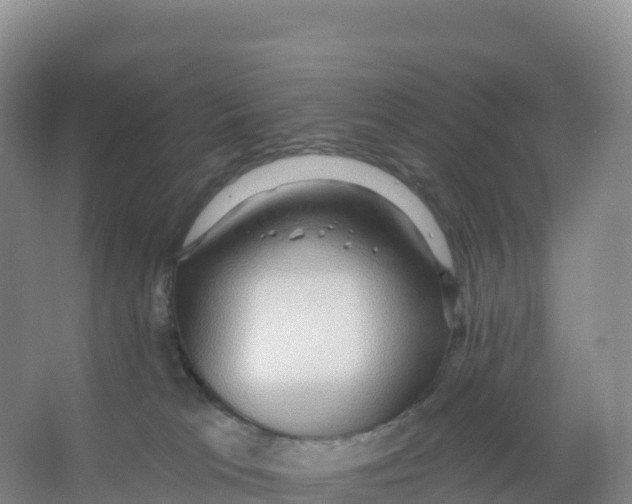 X0000066970037200604142152