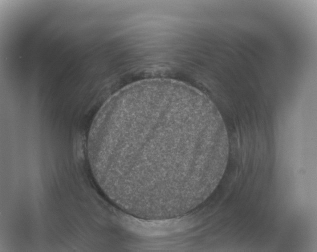 X0000066970038200604142152