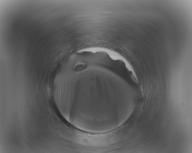 X0000066970039200604142152