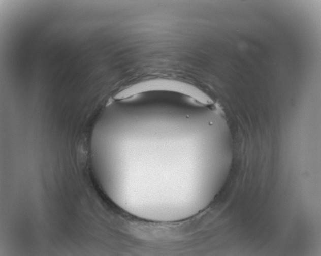 X0000066970040200604142152