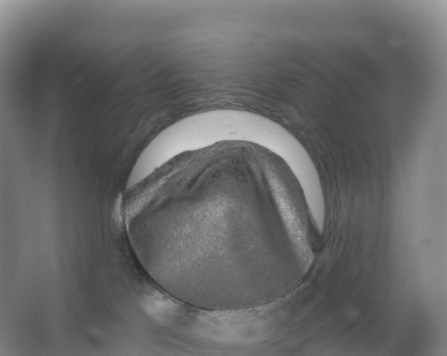 X0000066970041200604142152