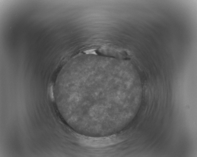 X0000066970042200604142152