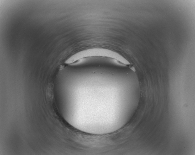 X0000066970044200604142152