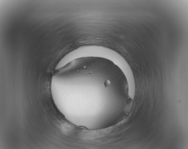 X0000066970045200604142152