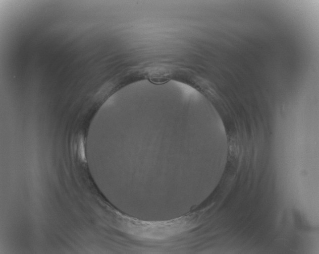 X0000066970046200604142152