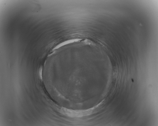 X0000066970047200604142152