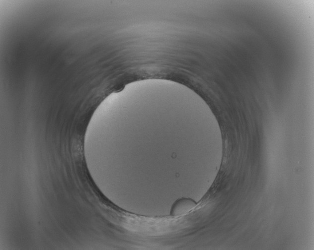 X0000066970048200604142152