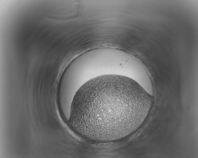 X0000066970049200604142151