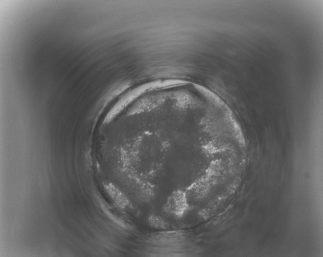 X0000066970050200604142151