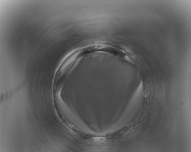 X0000066970052200604142151