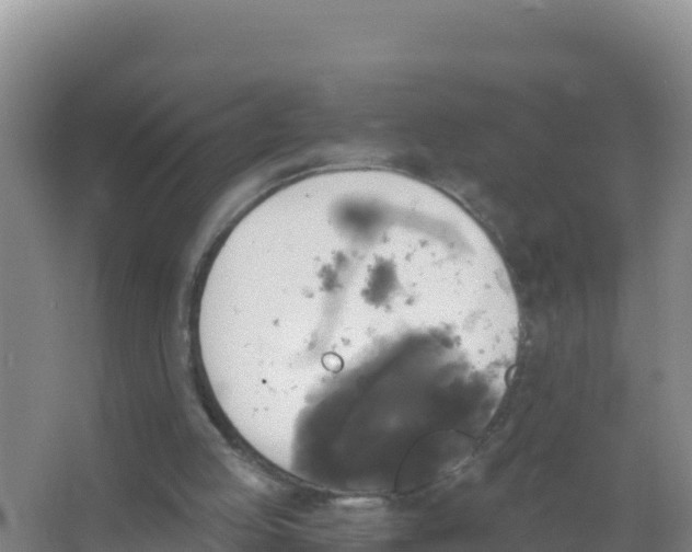 X0000066970053200604142151