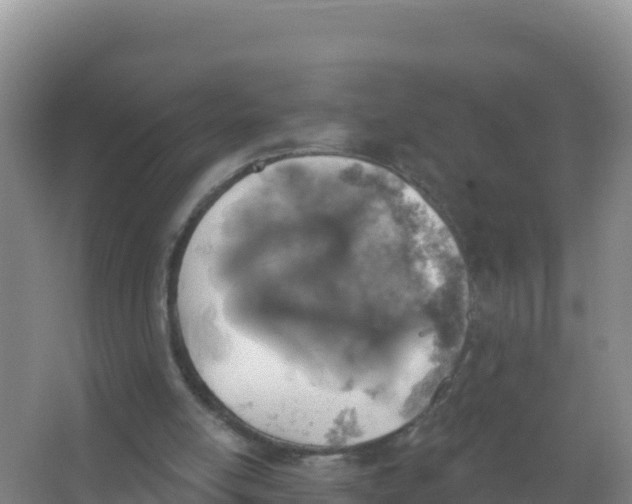 X0000066970054200604142151