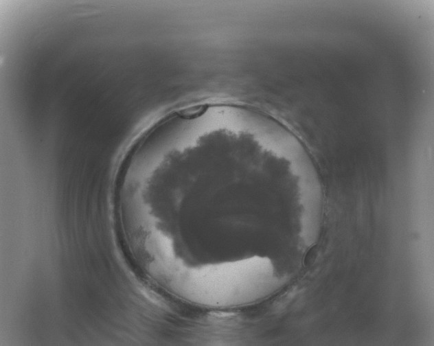 X0000066970055200604142151