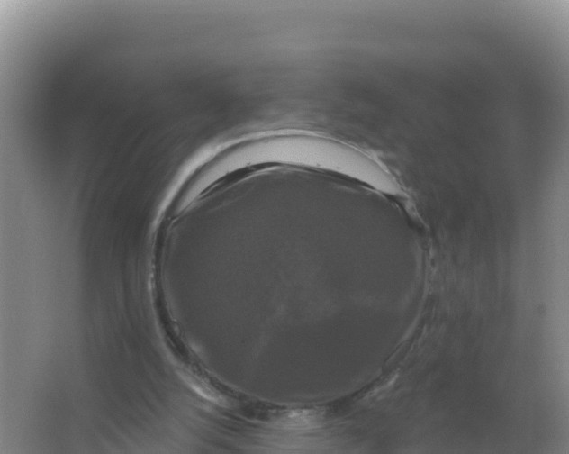 X0000066970056200604142151