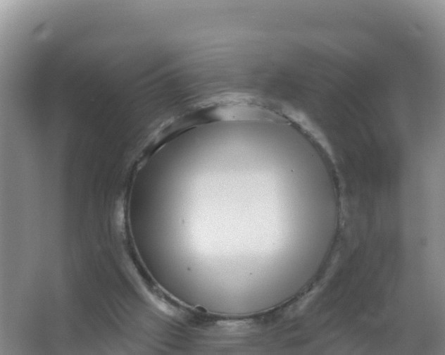 X0000066970057200604142151