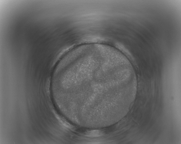 X0000066970058200604142151