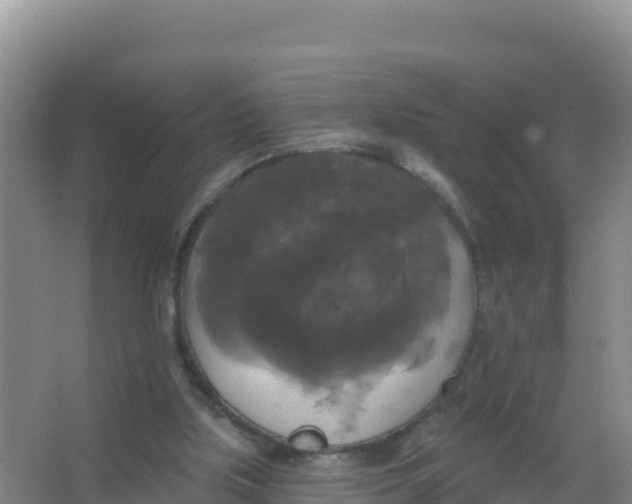 X0000066970059200604142151