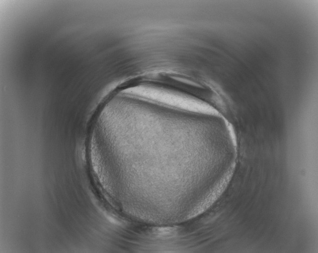 X0000066970060200604142151