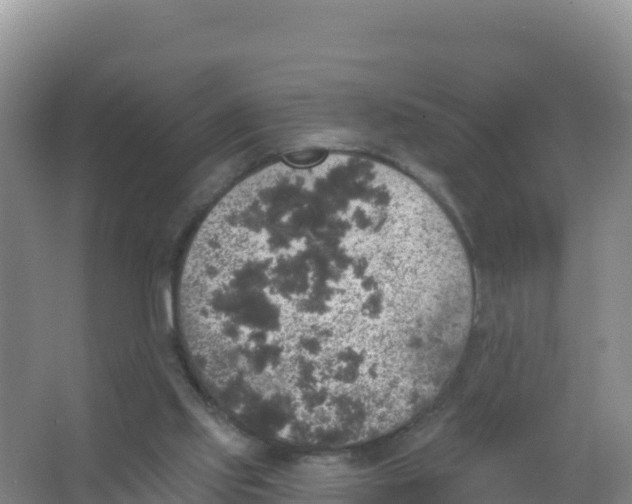 X0000066970061200604142151