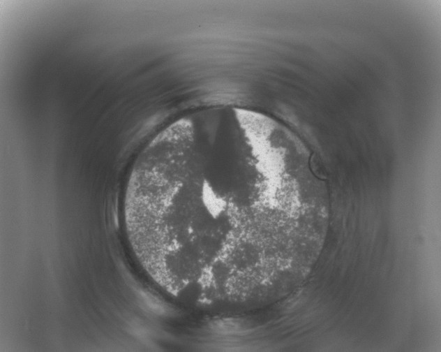 X0000066970062200604142151