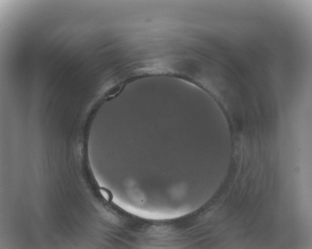 X0000066970063200604142151