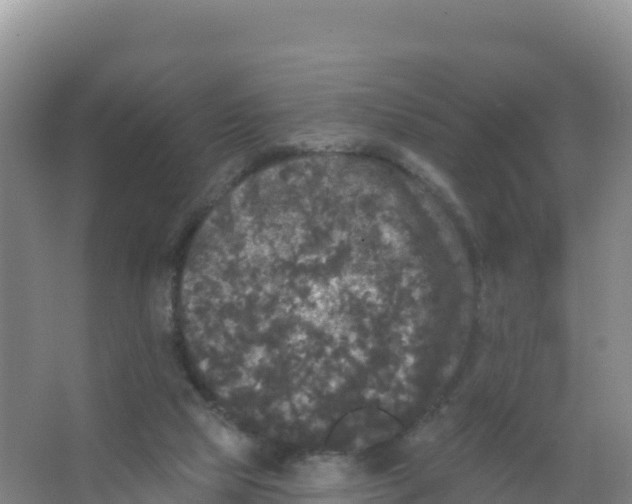 X0000066970065200604142151