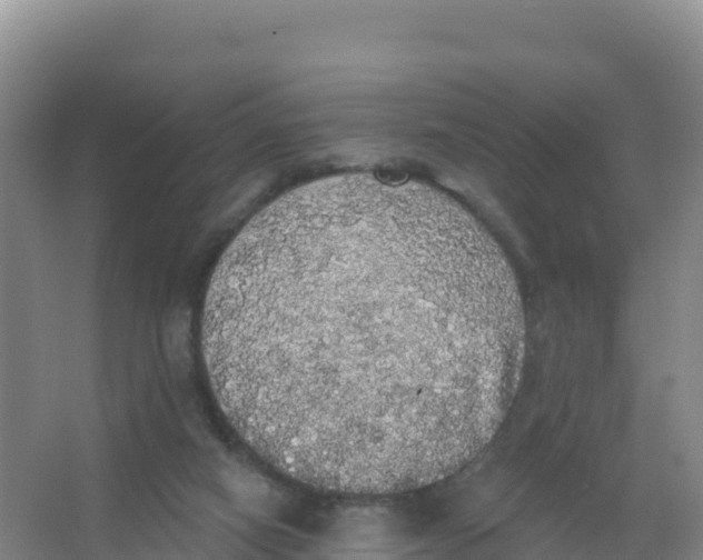 X0000066970066200604142151