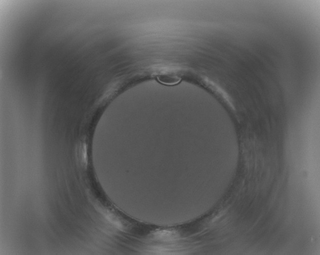 X0000066970067200604142151