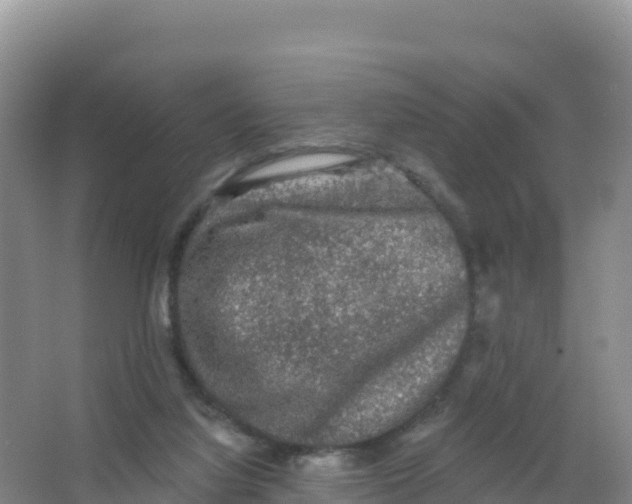 X0000066970068200604142151