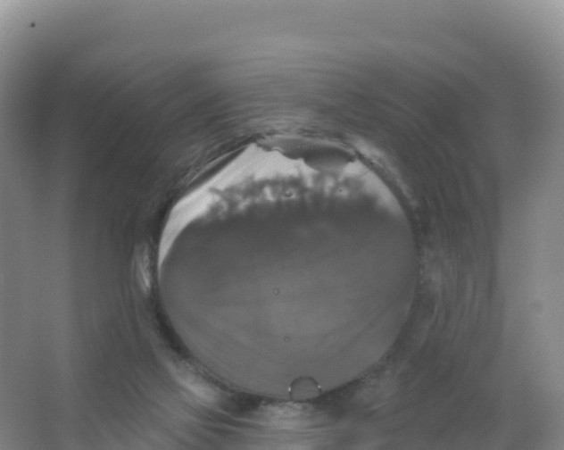 X0000066970069200604142151