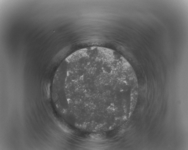 X0000066970070200604142151