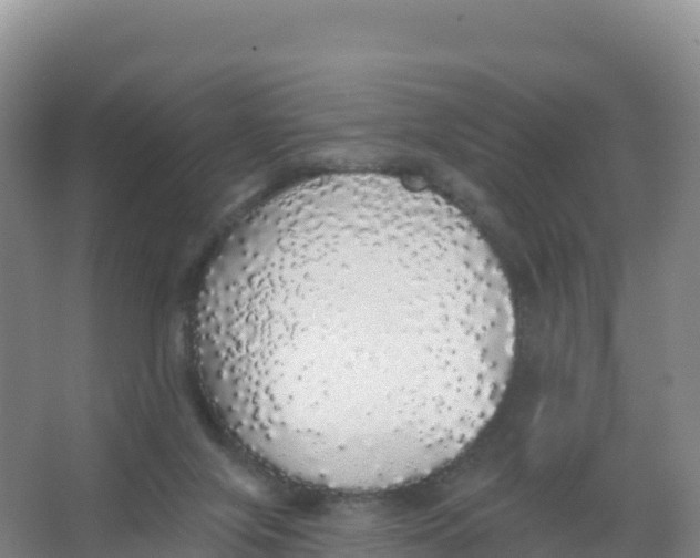 X0000066970071200604142151