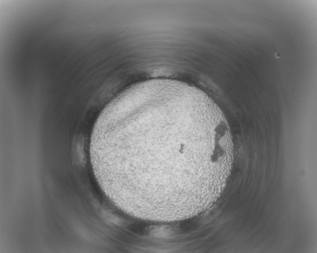 X0000066970074200604142152