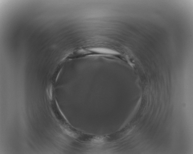 X0000066970076200604142152