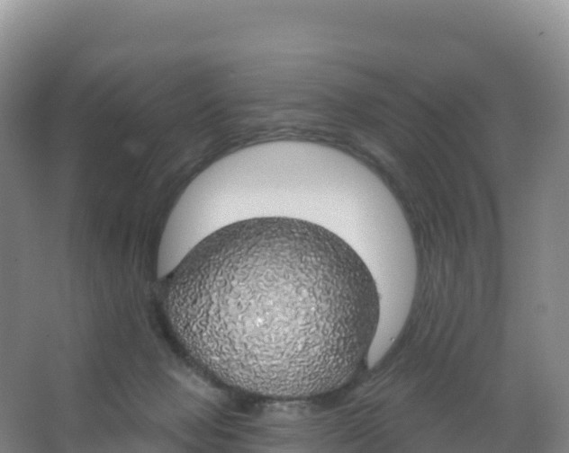 X0000066970077200604142152