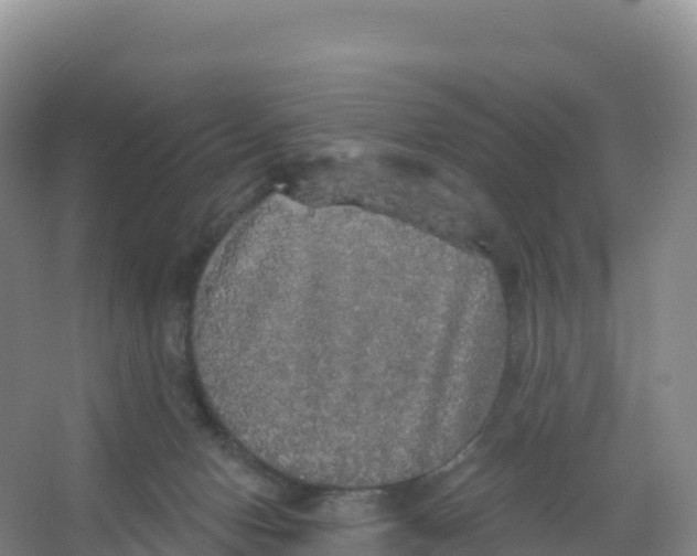 X0000066970078200604142152