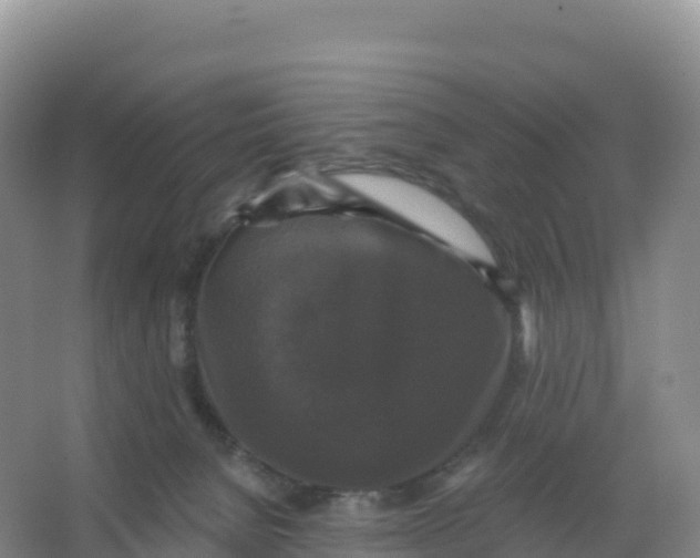 X0000066970080200604142152