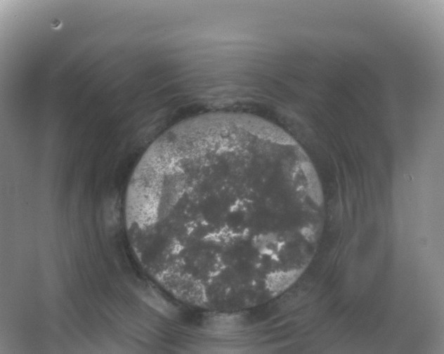 X0000066970081200604142152