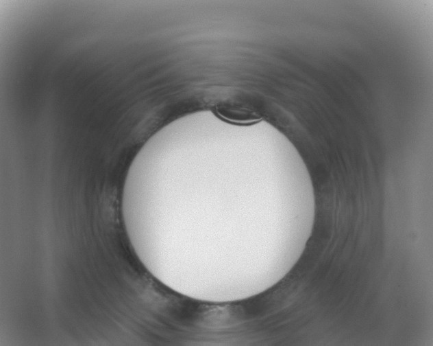 X0000066970083200604142152